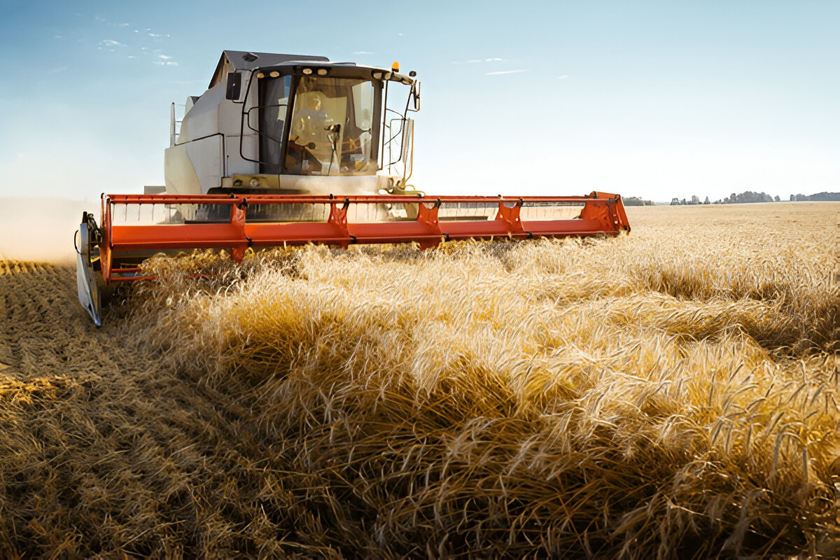 Farm Management